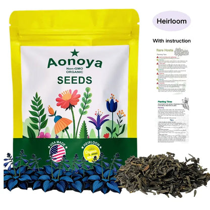 🌟Hosta seeds, 🍃perennial shade-tolerant plant, suitable for gardens and patios, non-GMO, made in the USA.🌿
